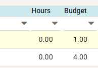 Budget Hours Column